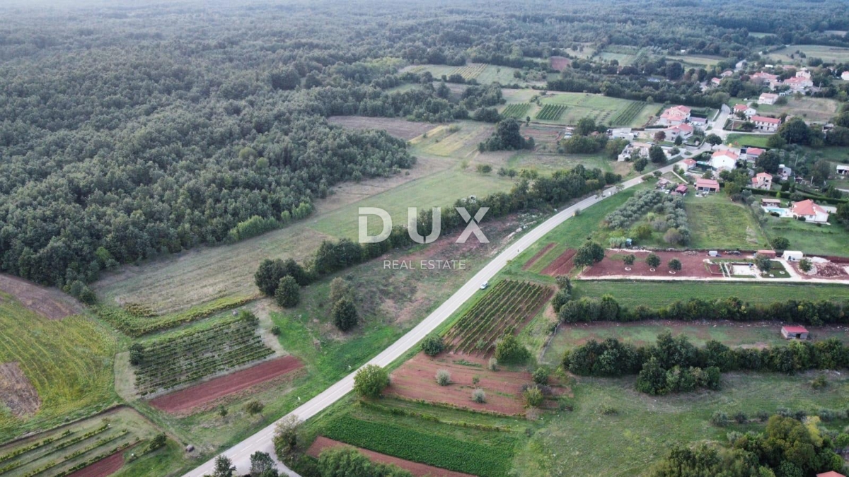 Land For sale - Istarska Barban - foto 3/6