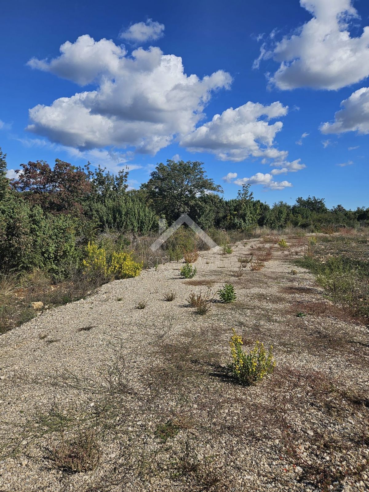Land For sale NIN