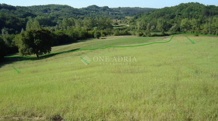 Pozemok na predaj 12550 m² – Motovun