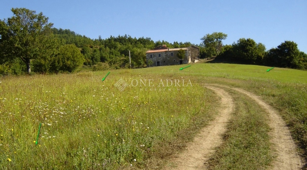 Terrain À vendre - ISTARSKA MOTOVUN