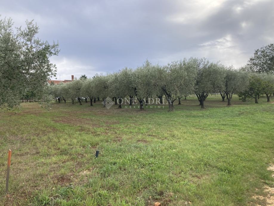Pozemek Na prodej - Istarska Poreč - foto 1/1