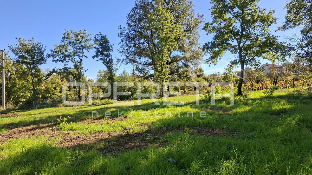 Terreno In vendita - Istarska Karojba - foto 1/5