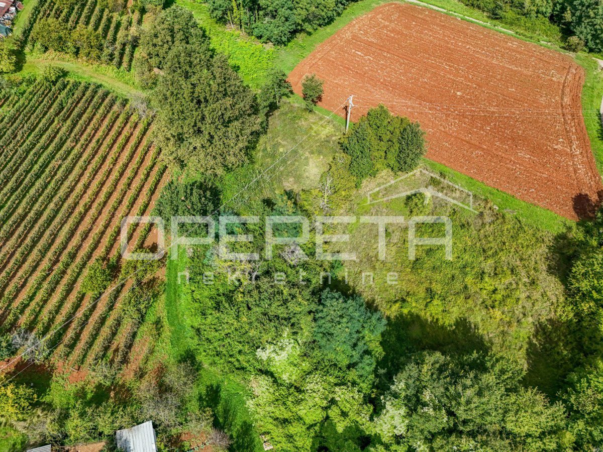 Terreno In vendita - Istarska Karojba - foto 4/5