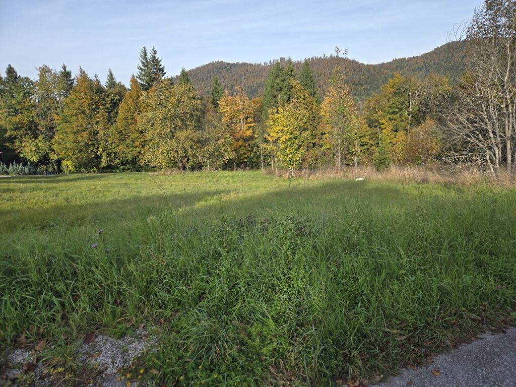 Działka Na sprzedaż - Primorsko-goranska Ravna Gora - foto 1/2
