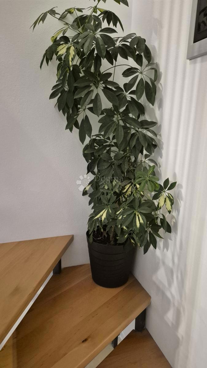 Apartment Zu verkaufen - ISTARSKA BALE
