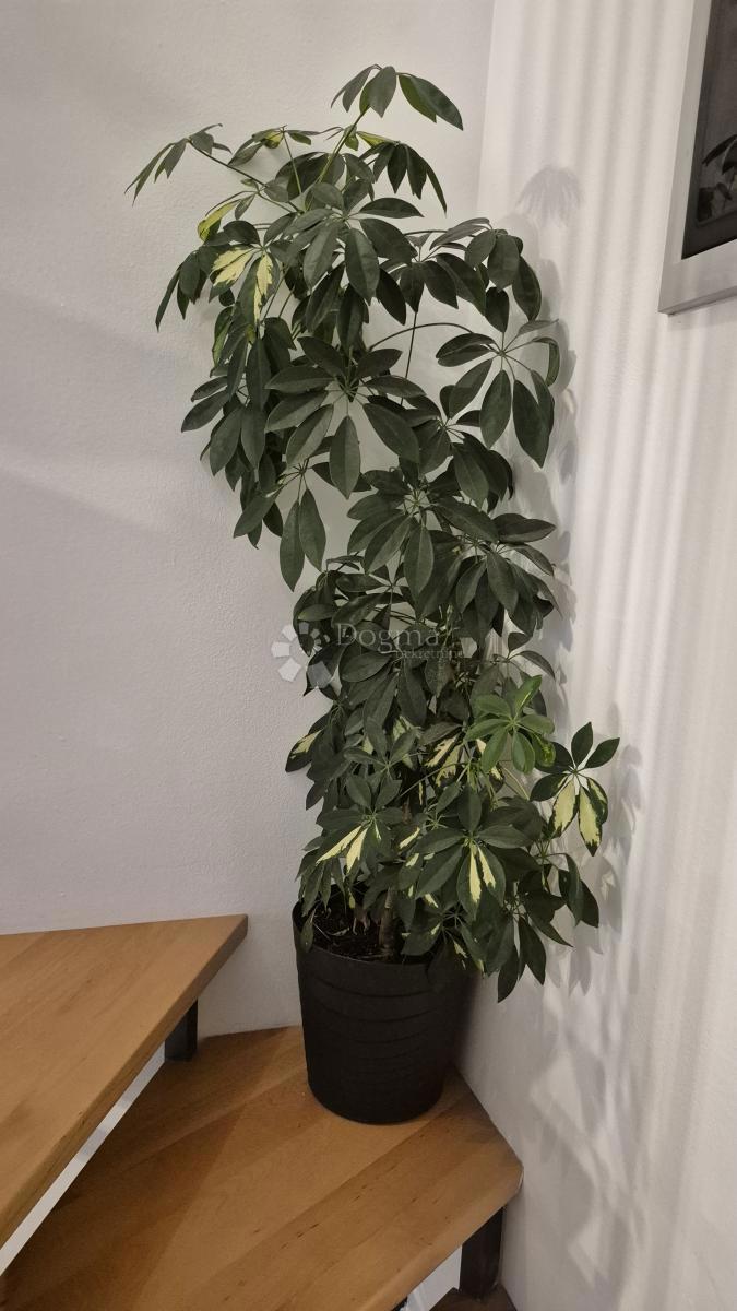 Apartment Zu verkaufen - ISTARSKA BALE