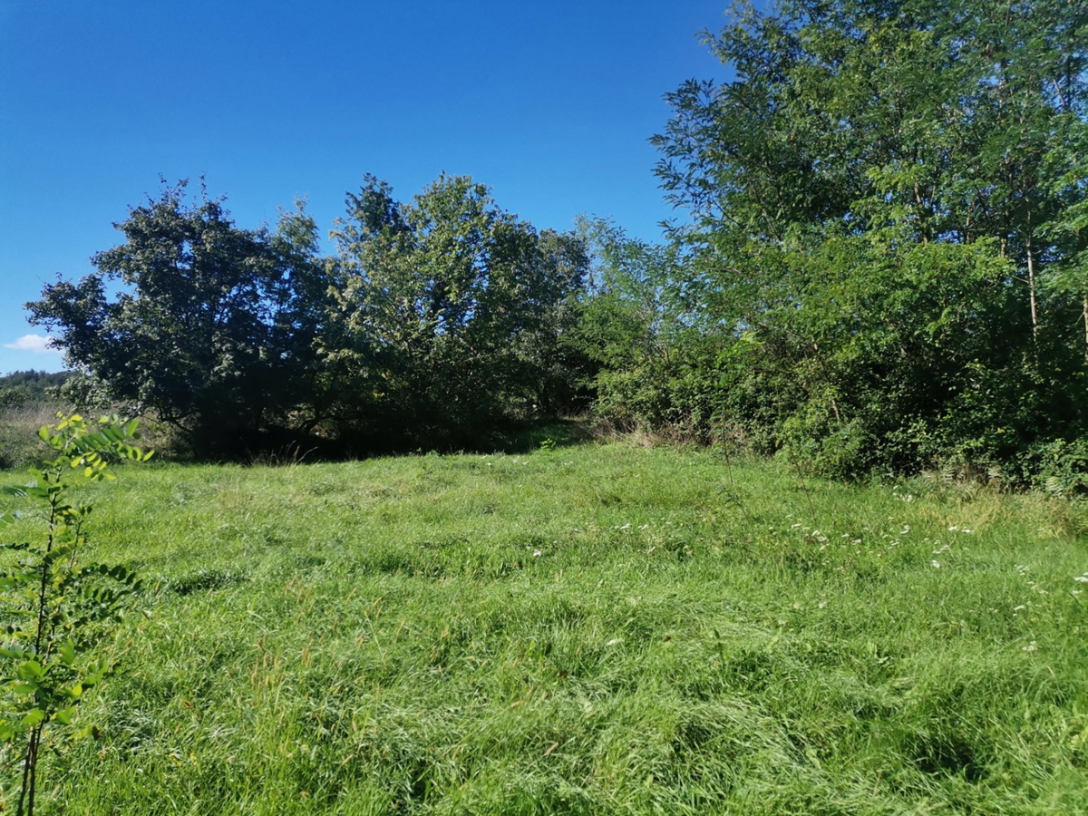 Terreno In vendita - ISTARSKA GROŽNJAN