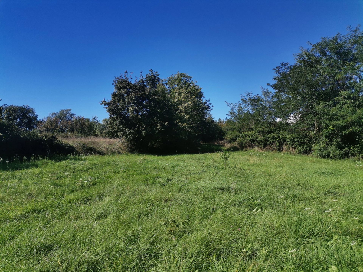 Terreno In vendita - ISTARSKA GROŽNJAN