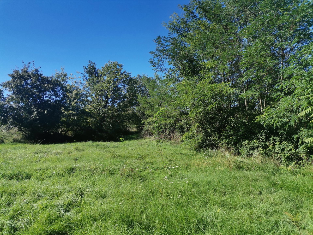 Terreno In vendita - ISTARSKA GROŽNJAN