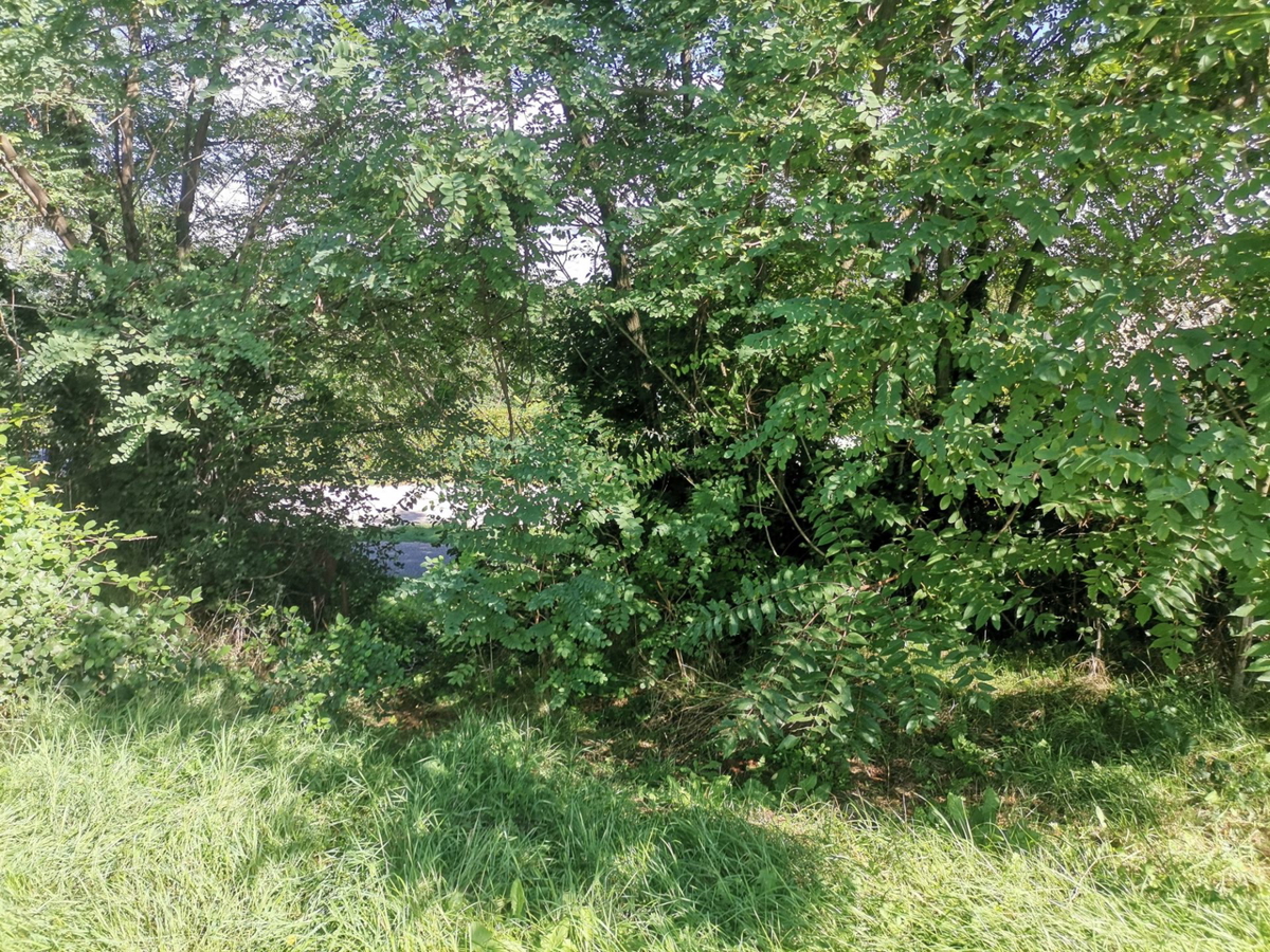 Terreno In vendita - ISTARSKA GROŽNJAN