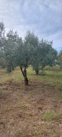 Land For sale - Istarska Medulin - foto 2/3