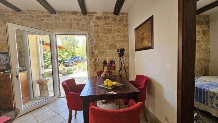 Haus Zu verkaufen - Istarska Višnjan - foto 2/16