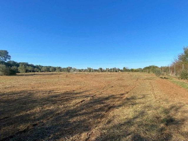 Land For sale - Istarska Pula - foto 2/7