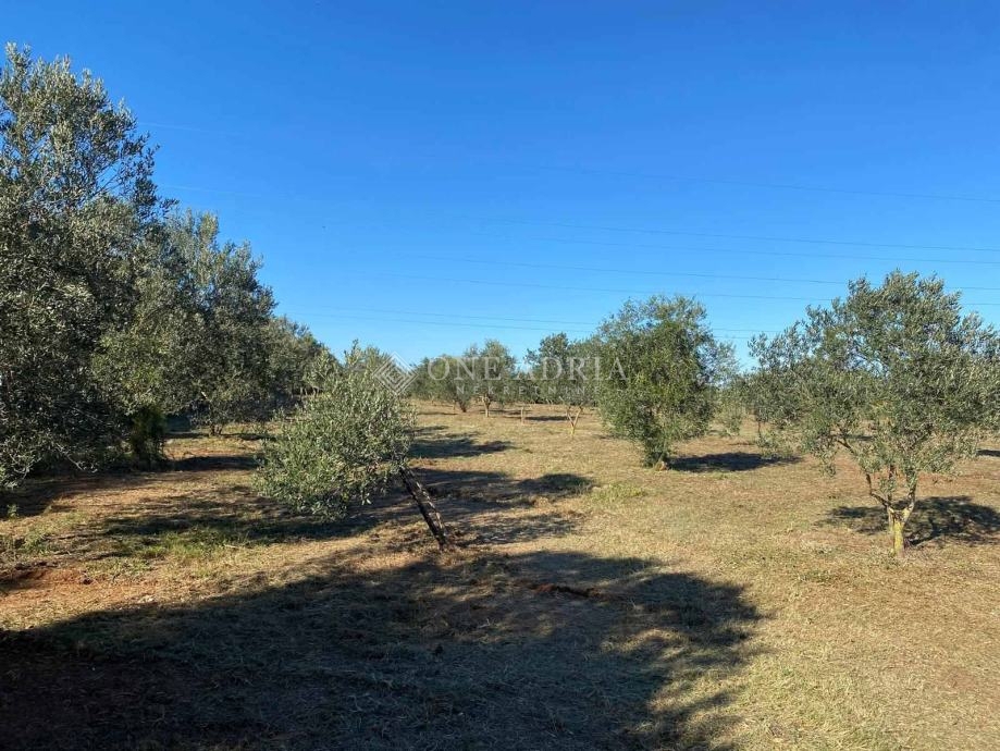 Terrain À vendre - Istarska Pula - foto 1/7