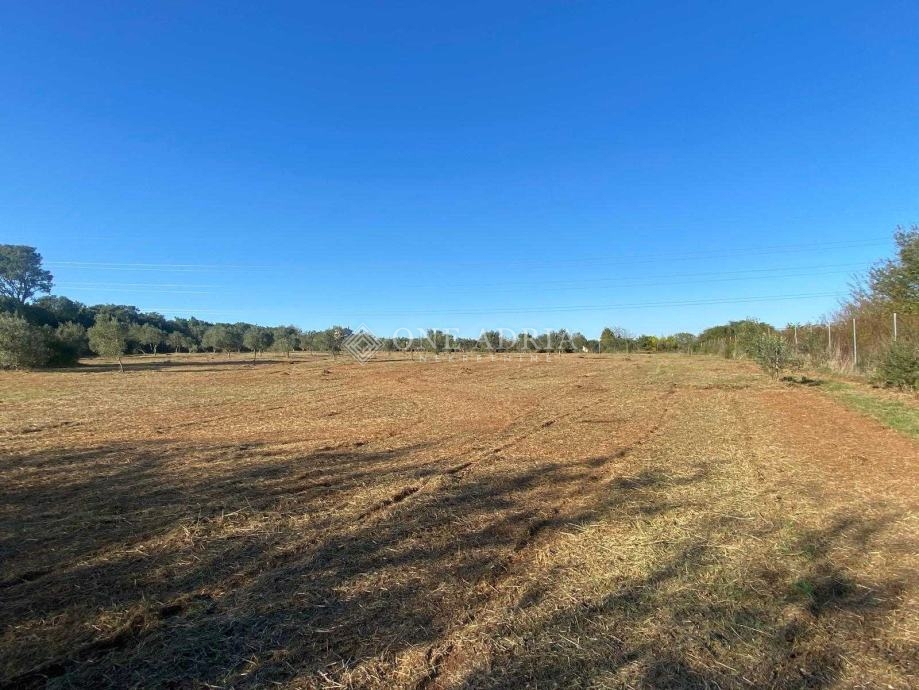 Terrain À vendre - Istarska Pula - foto 2/7