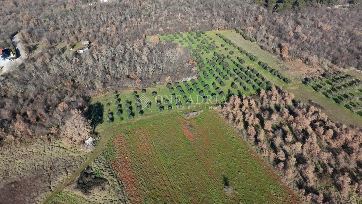 Land For sale - Istarska Poreč - foto 2/2
