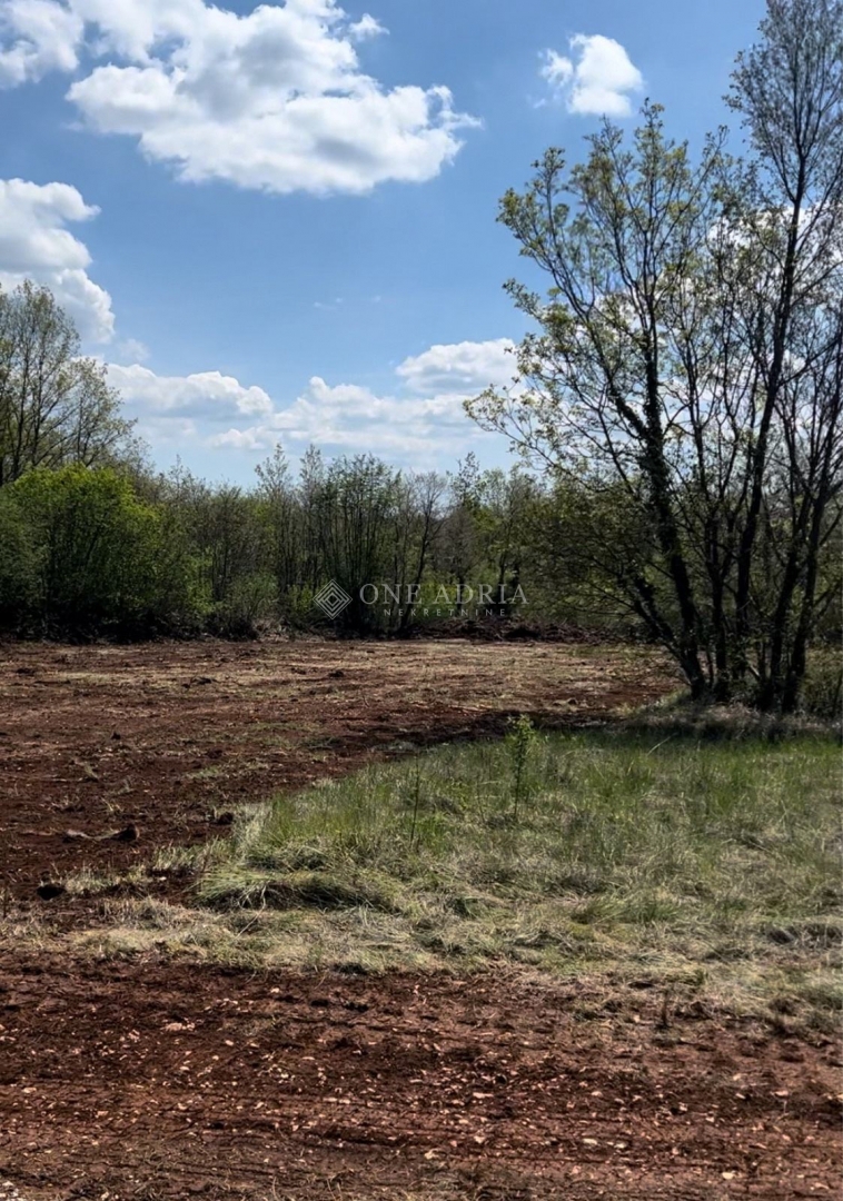 Land For sale - Istarska Tinjan - foto 3/4