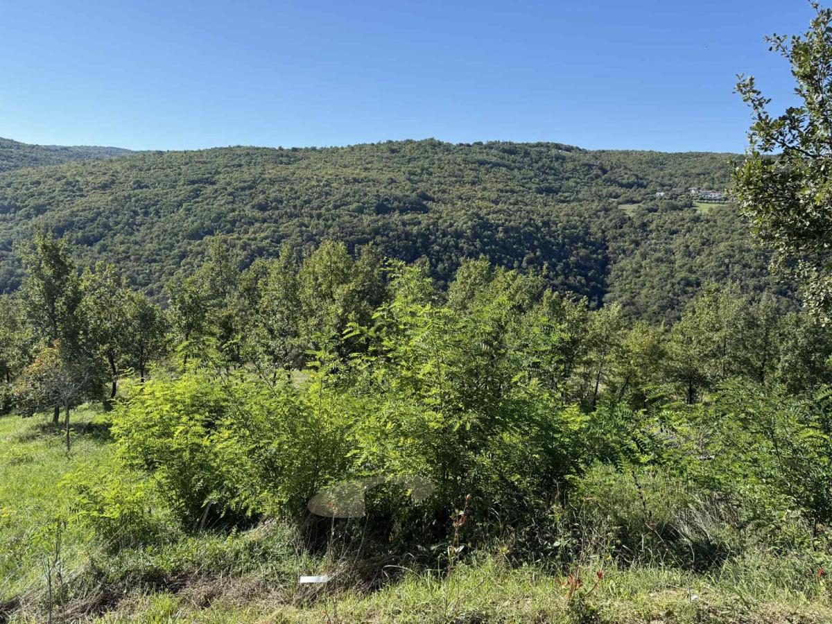 Land For sale - ISTARSKA MOTOVUN