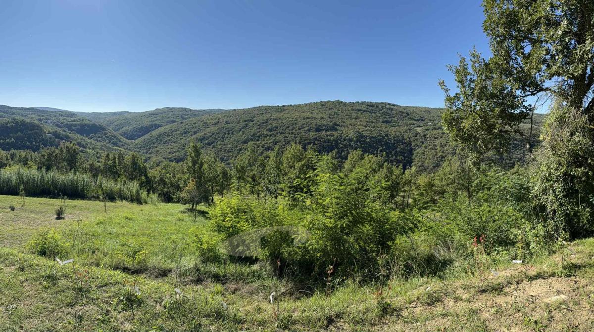 Land For sale - ISTARSKA MOTOVUN