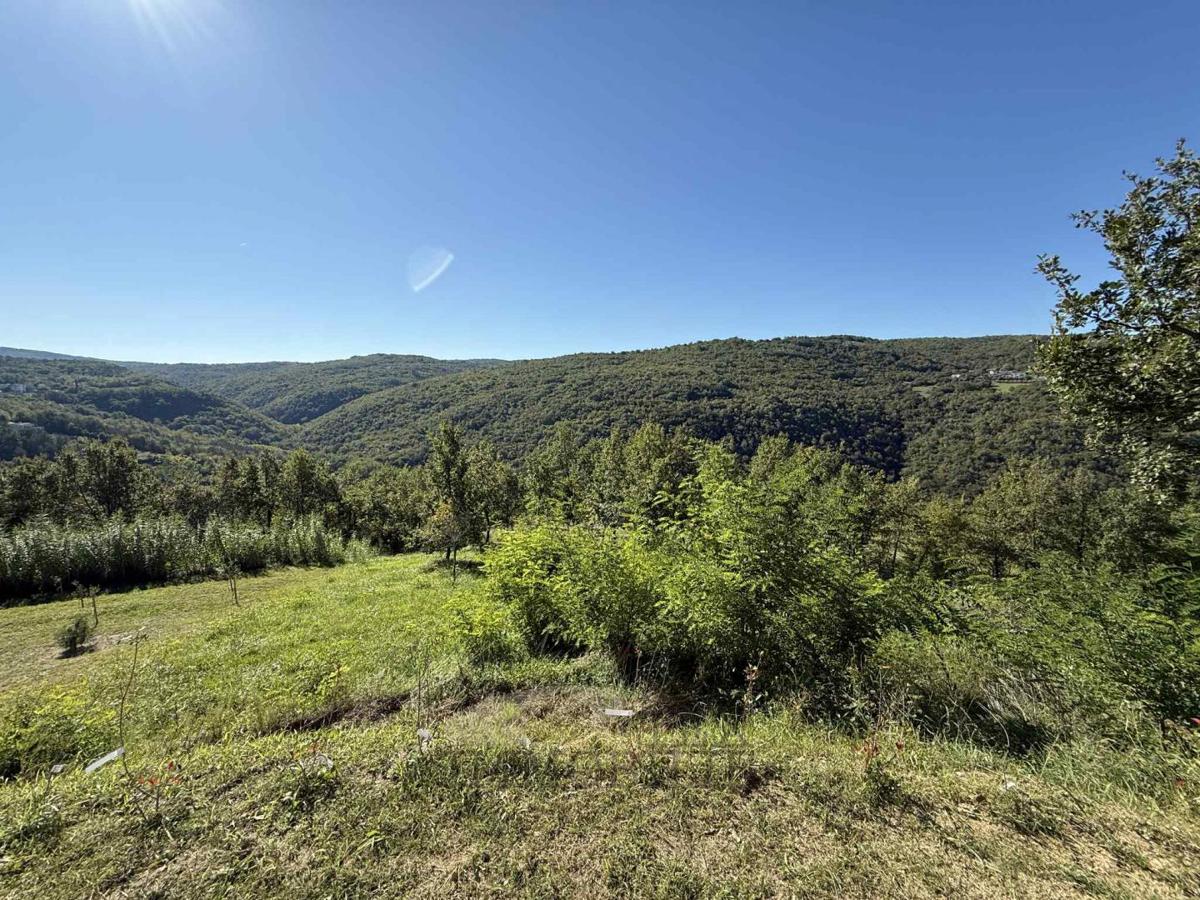 Land For sale - ISTARSKA MOTOVUN