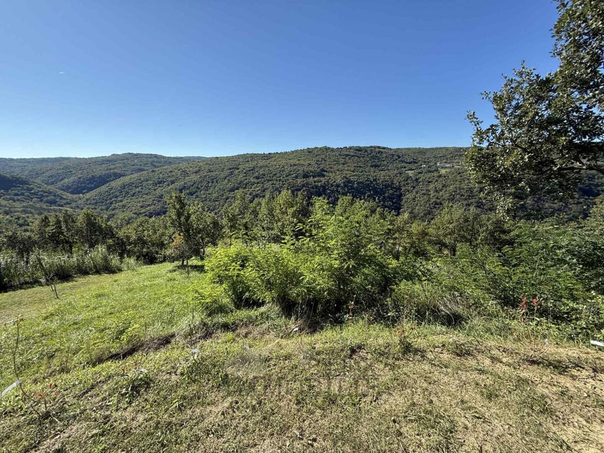 Land For sale - ISTARSKA MOTOVUN