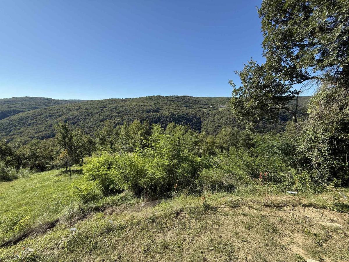 Land For sale - ISTARSKA MOTOVUN