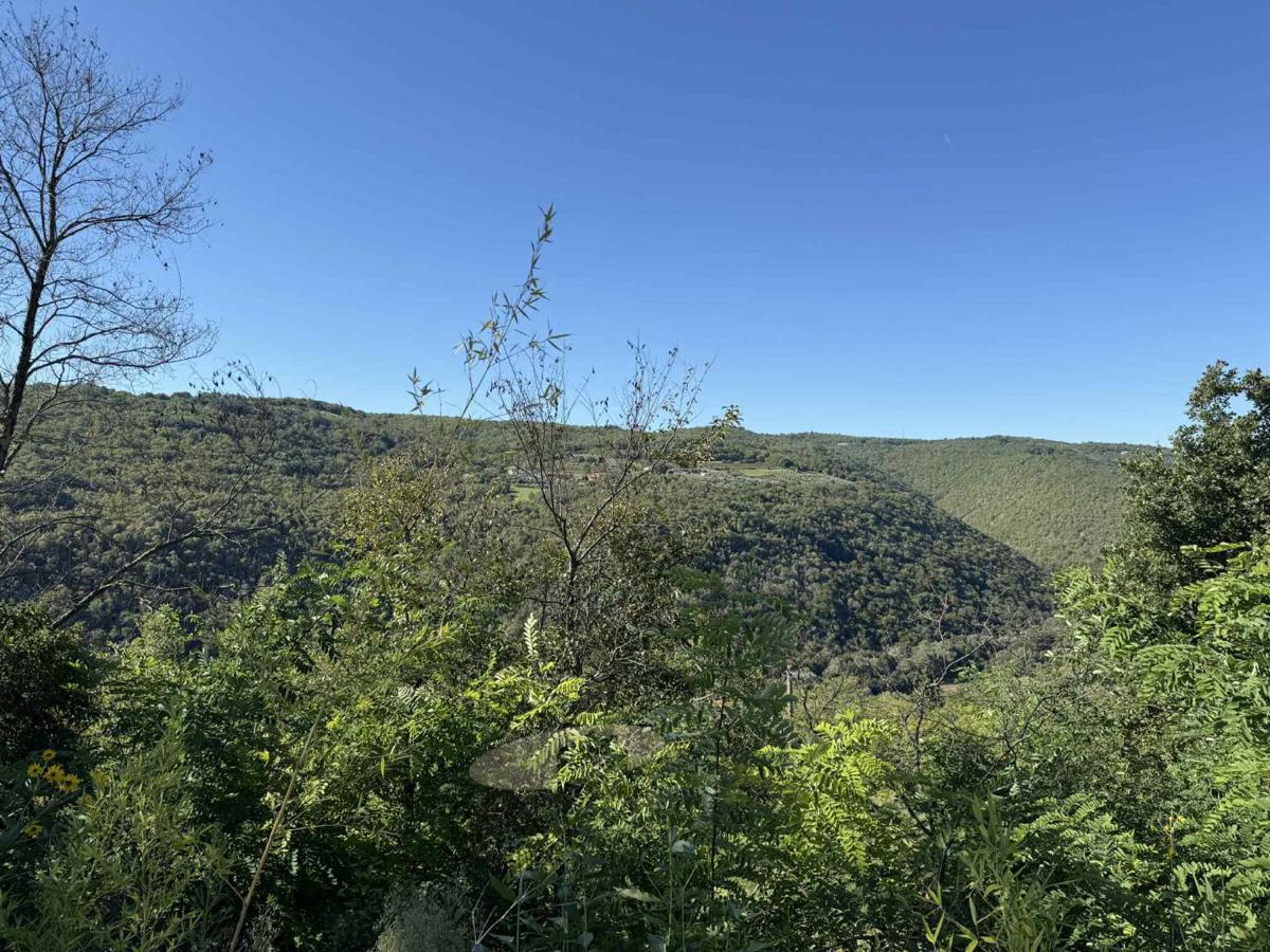 Land For sale - ISTARSKA MOTOVUN