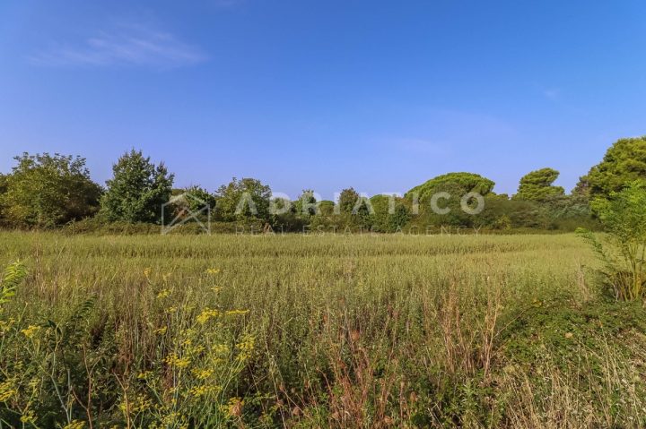 Parcela Naprodaj - Istarska Fažana - foto 2/5