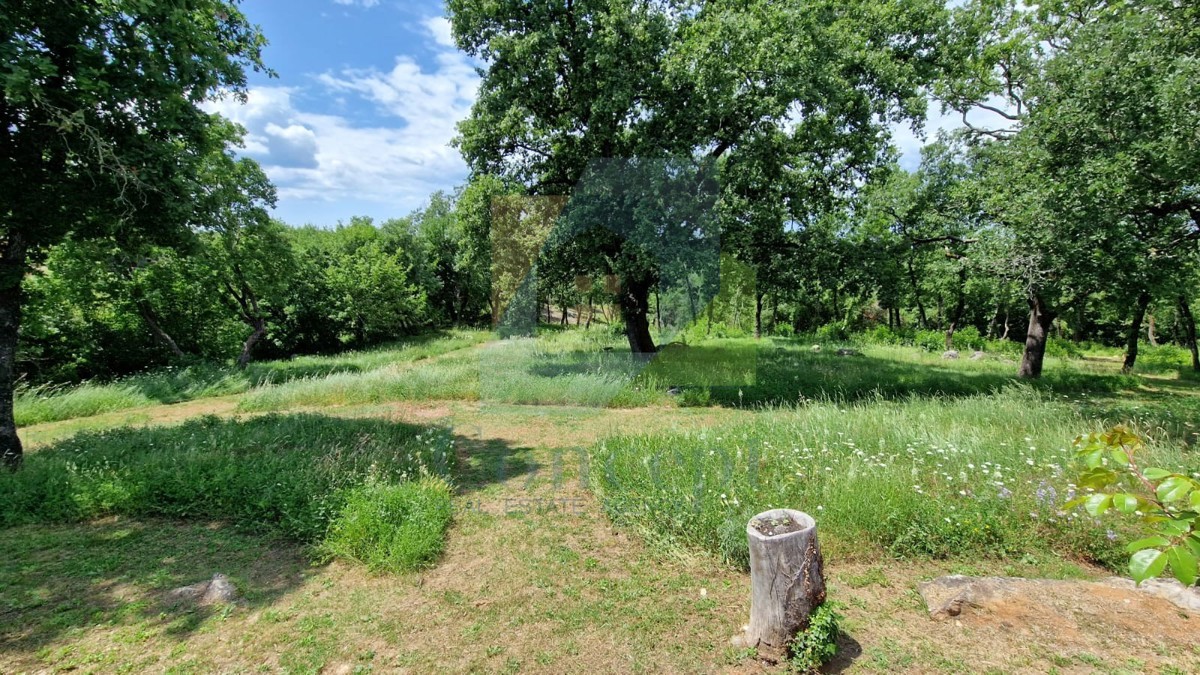 House For sale - ISTARSKA POREČ