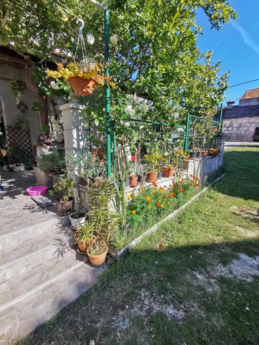 Haus Zu verkaufen - Dubrovačko-neretvanska Korčula - foto 4/54