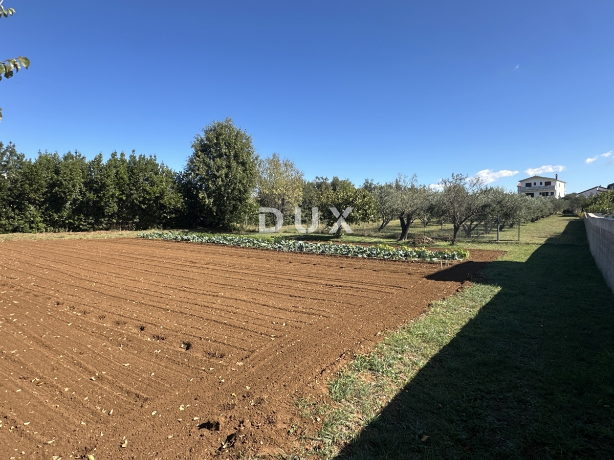 Land For sale - ZADARSKA VRSI