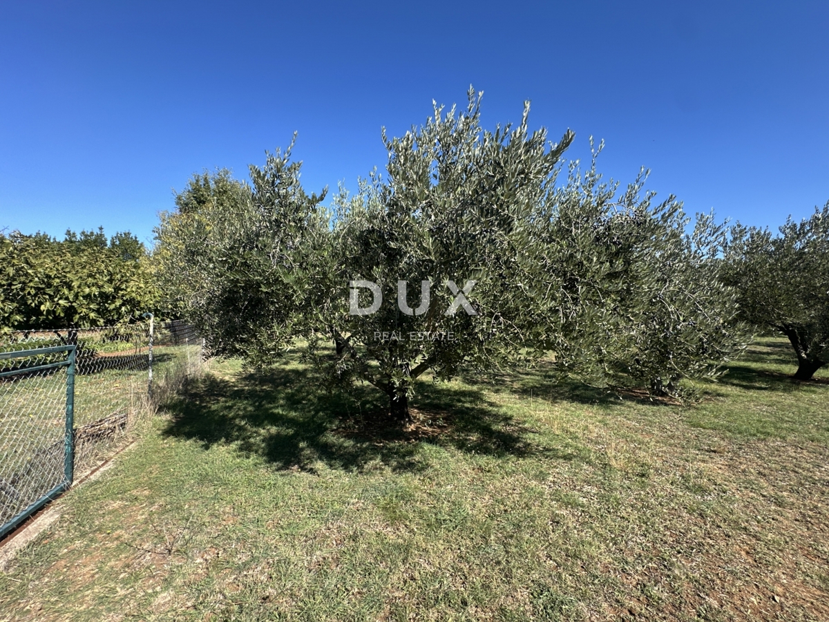 Land For sale - ZADARSKA VRSI