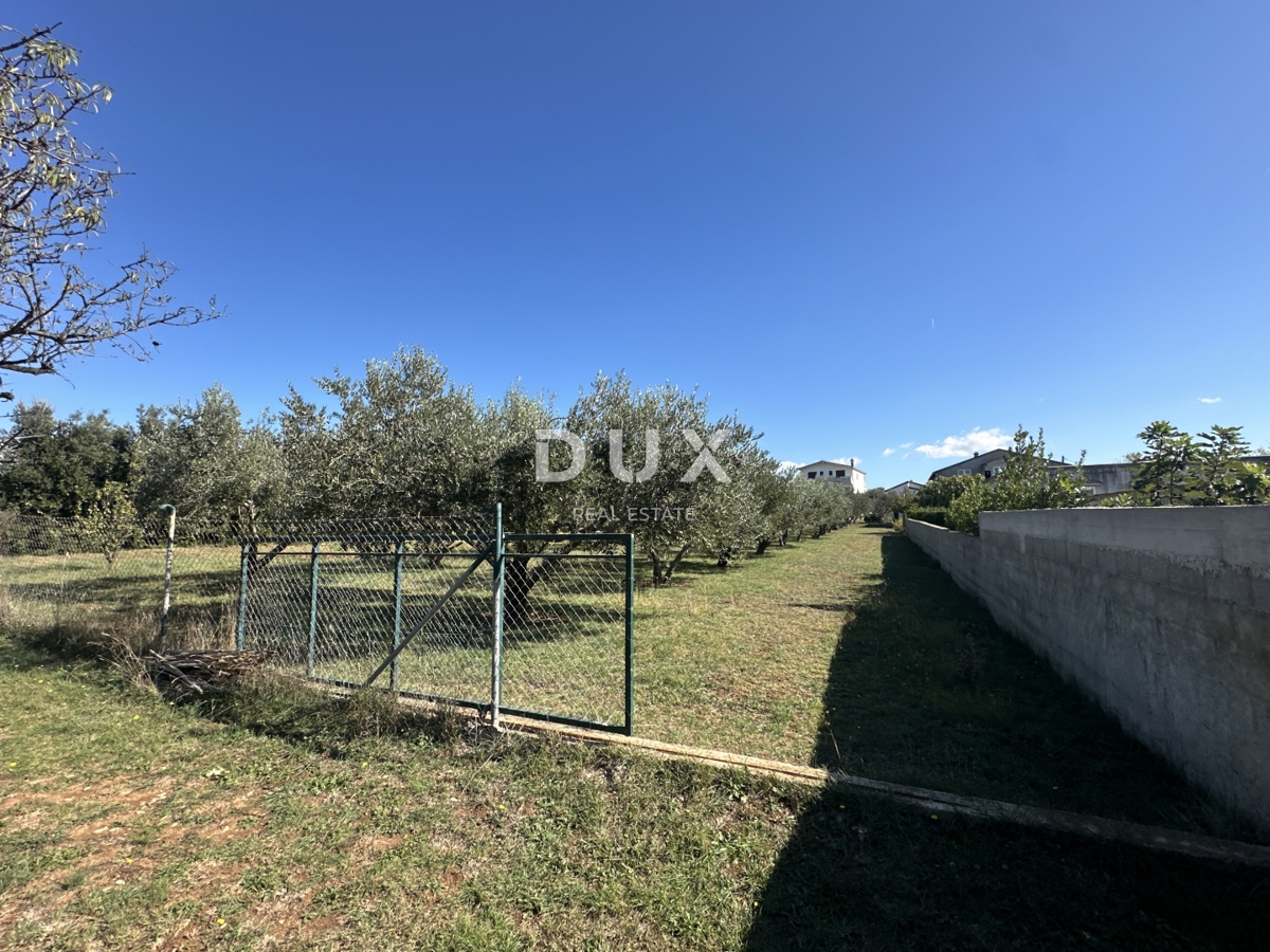 Land For sale - ZADARSKA VRSI