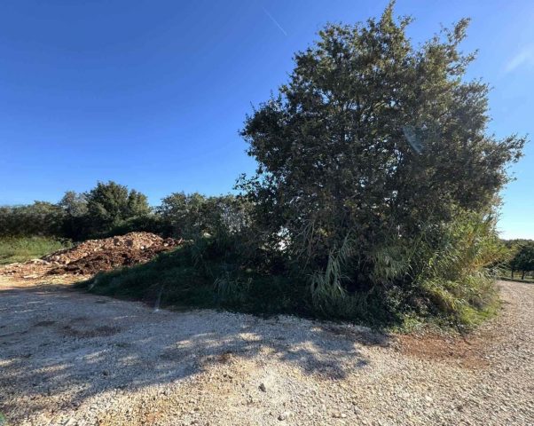 Terrain à vendre 600 m² – Medulin