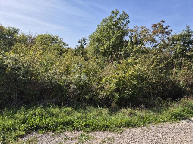 Land For sale - Istarska Labin - foto 2/5