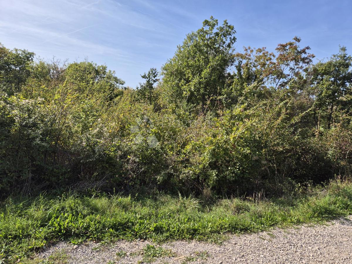 Land For sale - Istarska Labin - foto 2/5