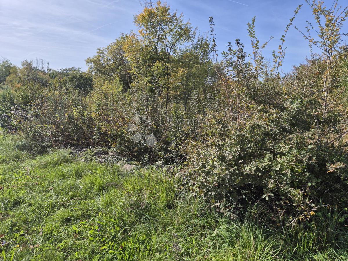 Land For sale - Istarska Labin - foto 3/5