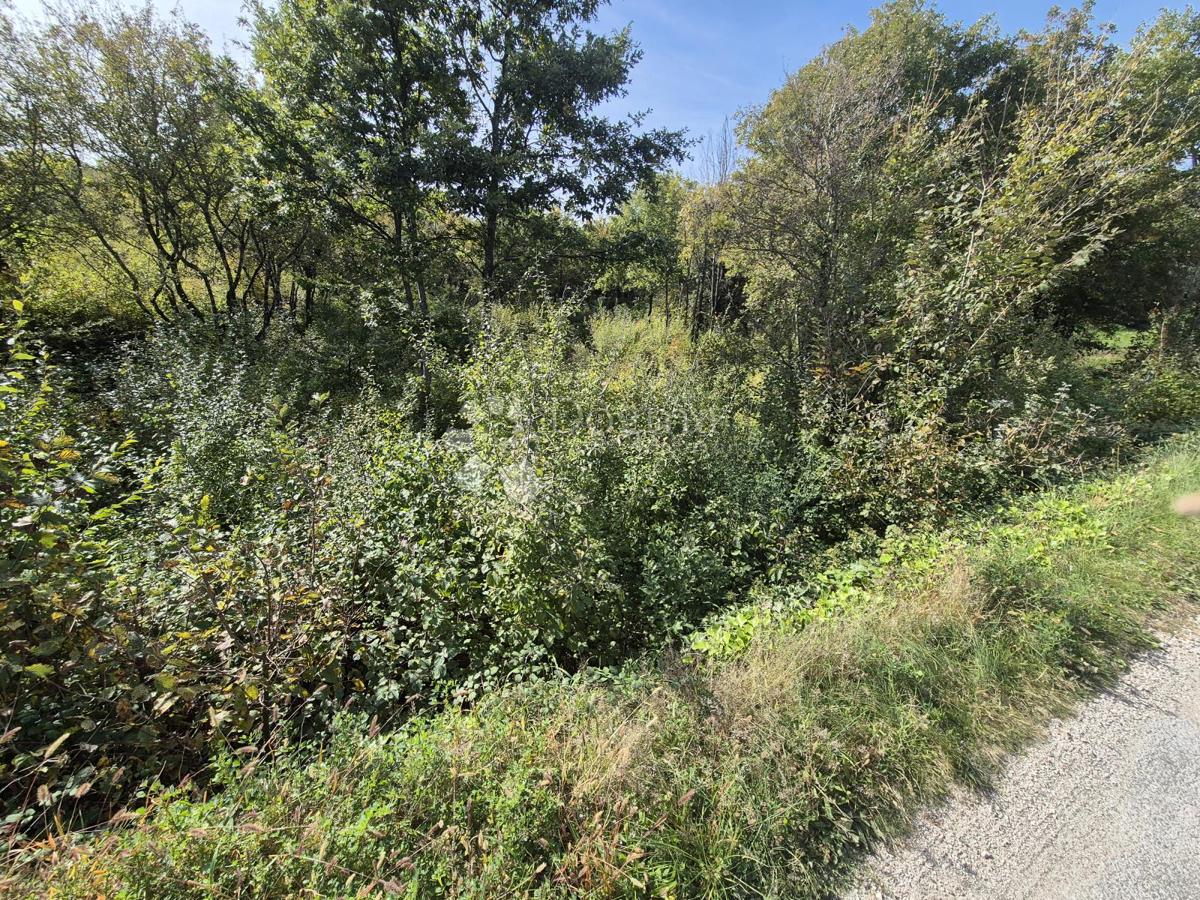 Land For sale - Istarska Labin - foto 4/5