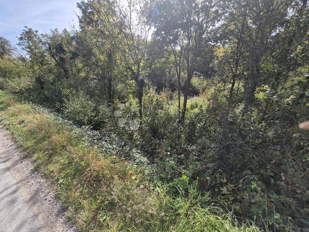 Land For sale - Istarska Labin - foto 5/5