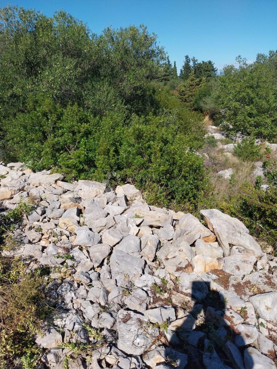 Terrain À vendre - ZADARSKA DUGI OTOK