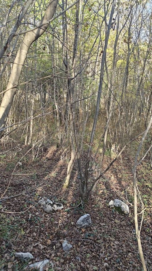 Land For sale - Primorsko-goranska Rijeka - foto 1/3