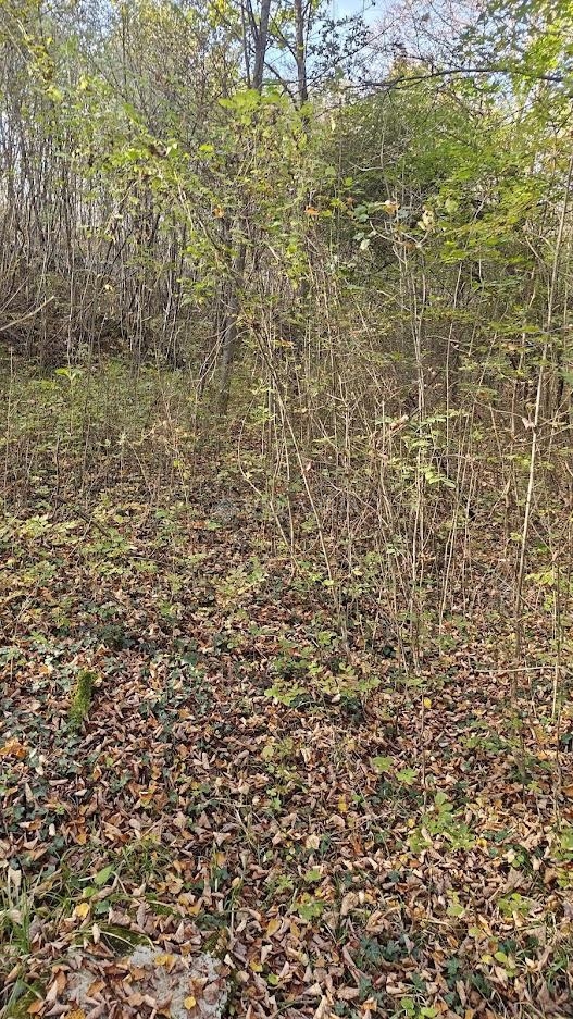 Land For sale - Primorsko-goranska Rijeka - foto 3/3