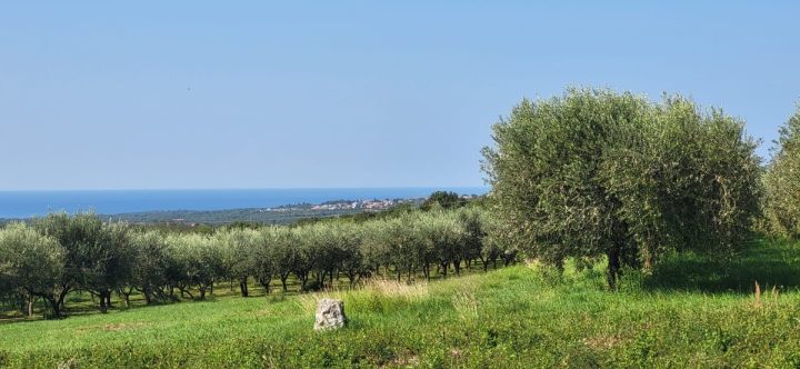Terreno in vendita 750 m² – Kaštelir