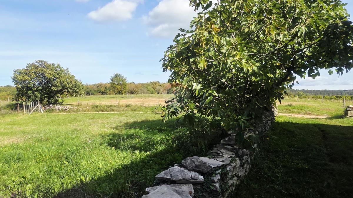 Land For sale - ISTARSKA OPRTALJ