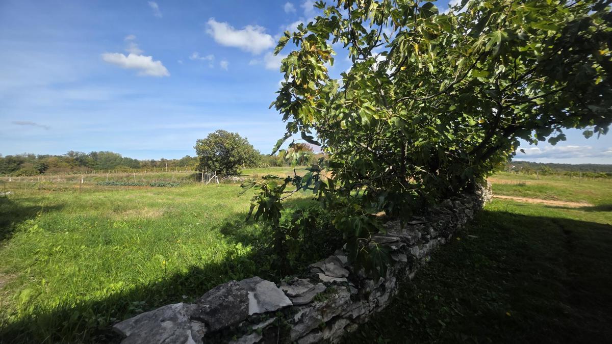Land For sale - ISTARSKA OPRTALJ
