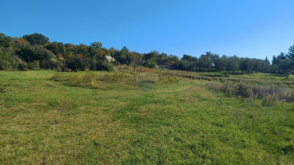 Land For sale - ISTARSKA MEDULIN