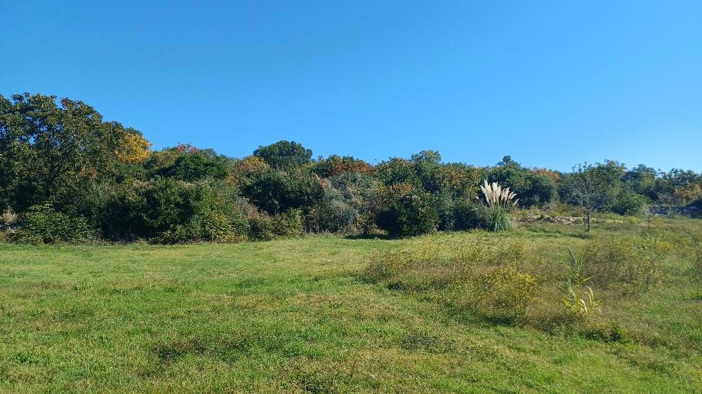 Land For sale - ISTARSKA MEDULIN
