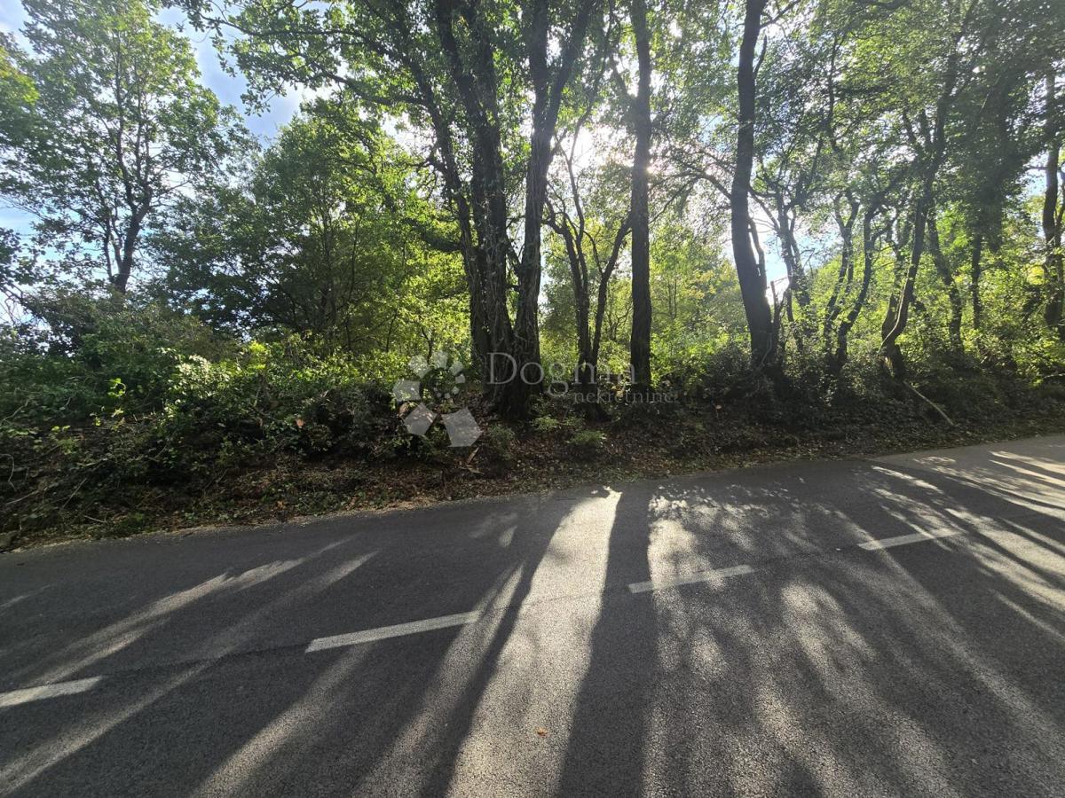 Land For sale - Istarska Marčana - foto 1/3
