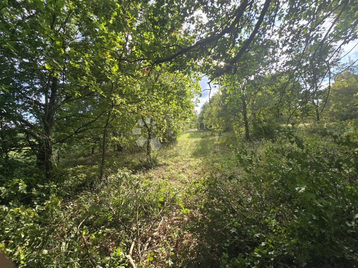 Land For sale - Istarska Marčana - foto 2/3