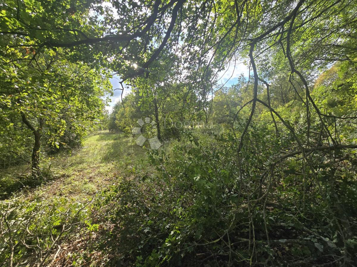 Land For sale - Istarska Marčana - foto 3/3